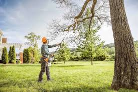 How Our Tree Care Process Works  in  Tunnel Hill, GA