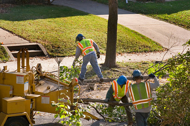 Best Leaf Removal  in Tunnel Hill, GA